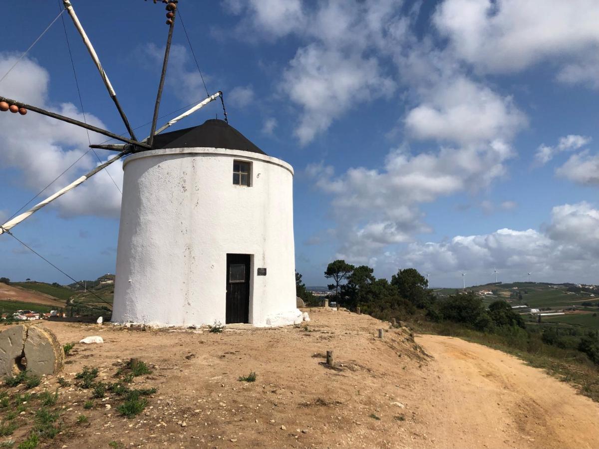 Traditional Portuguese Village House - Casa Martins No 52 Freiria Exterior photo