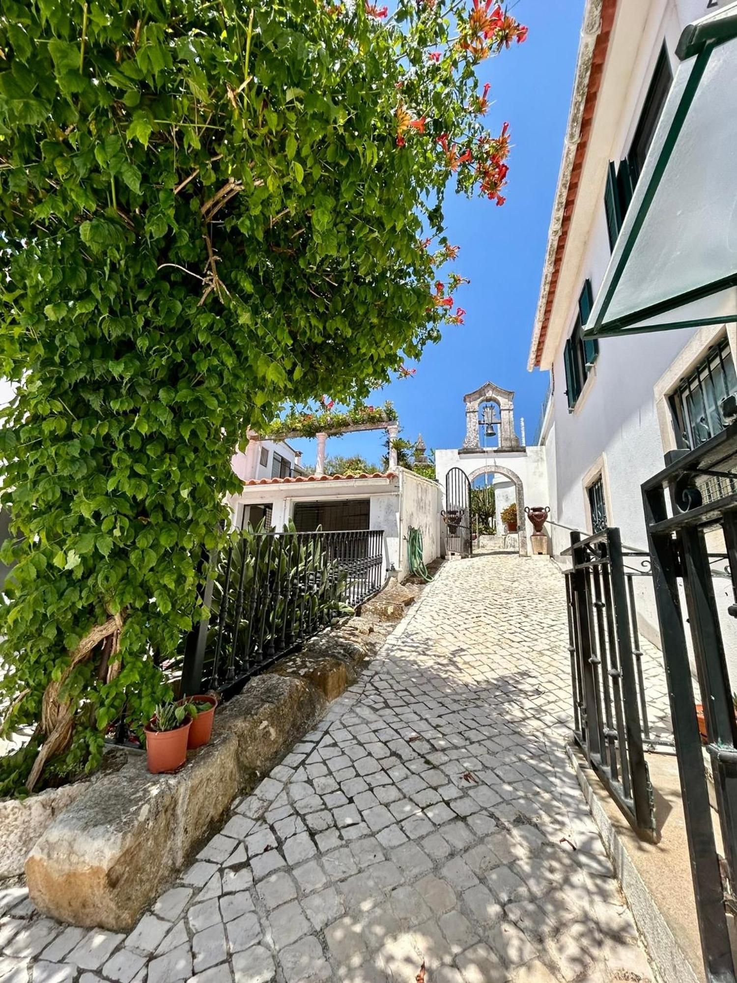 Traditional Portuguese Village House - Casa Martins No 52 Freiria Exterior photo